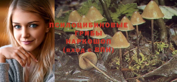 стафф Магадан