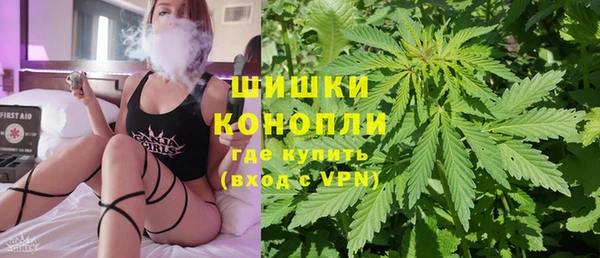 PSILOCYBIN Лиски