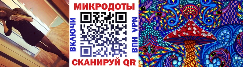 Купить Суздаль Галлюциногенные грибы Psilocybine cubensis
